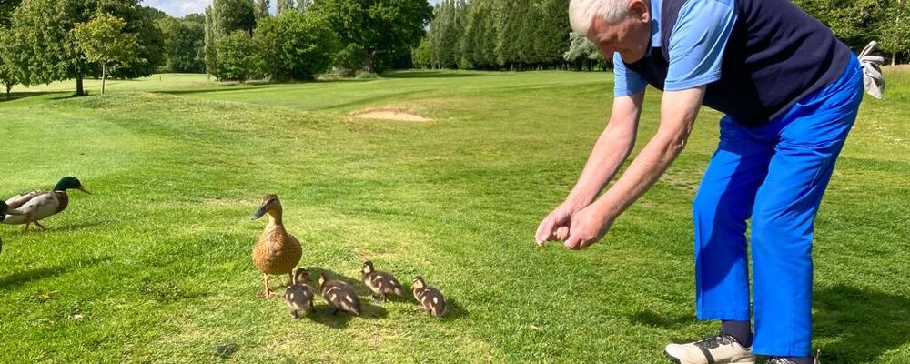 The Duck Whisperer