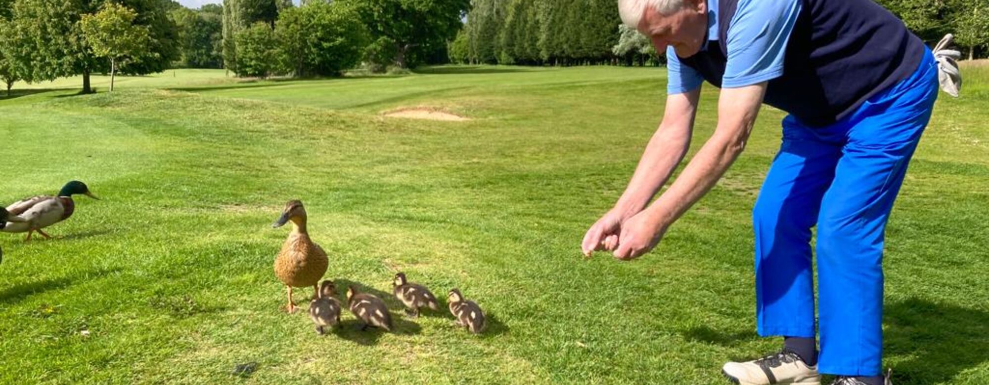 The Duck Whisperer