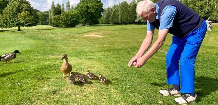 The Duck Whisperer