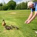 <The Duck Whisperer